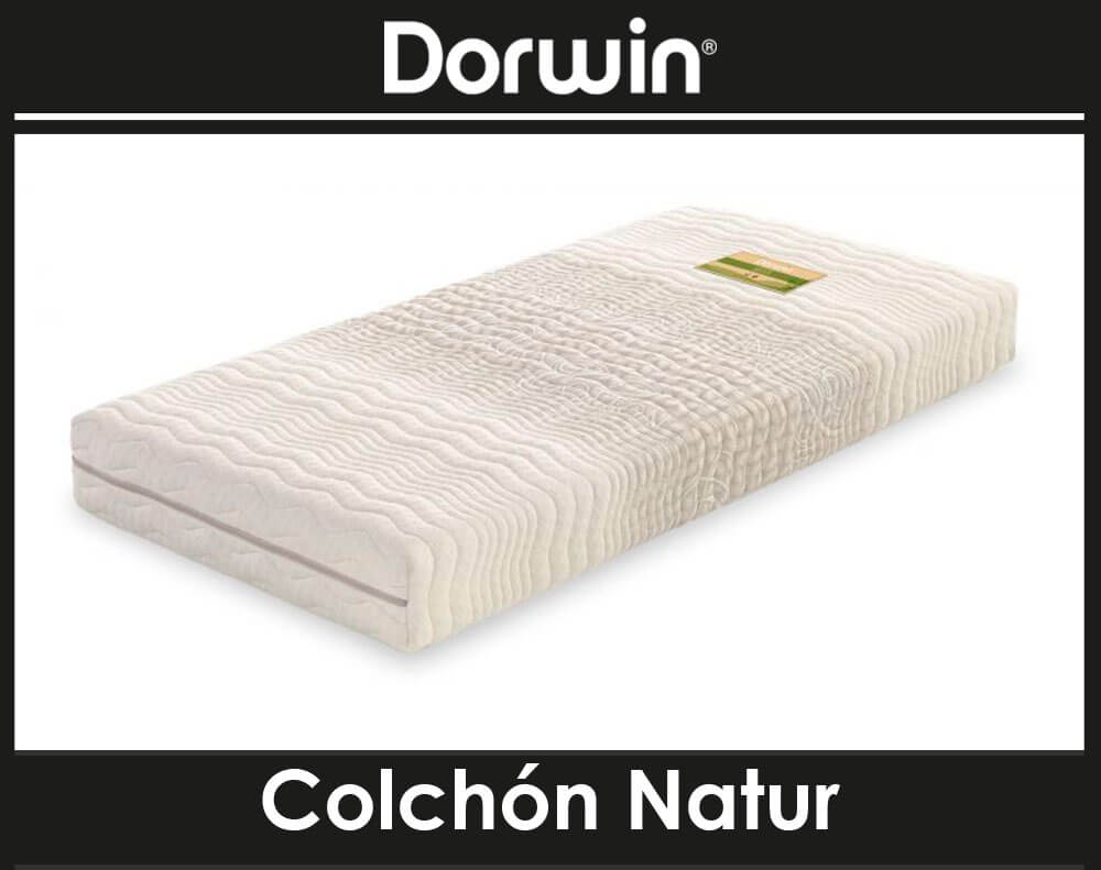 Colchón de Latex Enfundado DORWIN Natur 80x200 cm